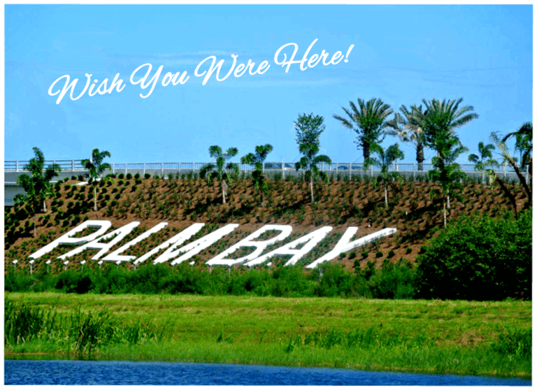 Palm Bay landscape under blue sky