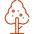 Orange tree icon on black background.